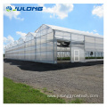 Commercial agricultural turnkey film hydroponic greenhouses